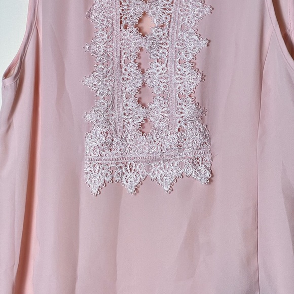 Zac & Rachel Women Top M Pink Blush Lace Embroidery Panel Front Sleeveless Sheer - Picture 4 of 15